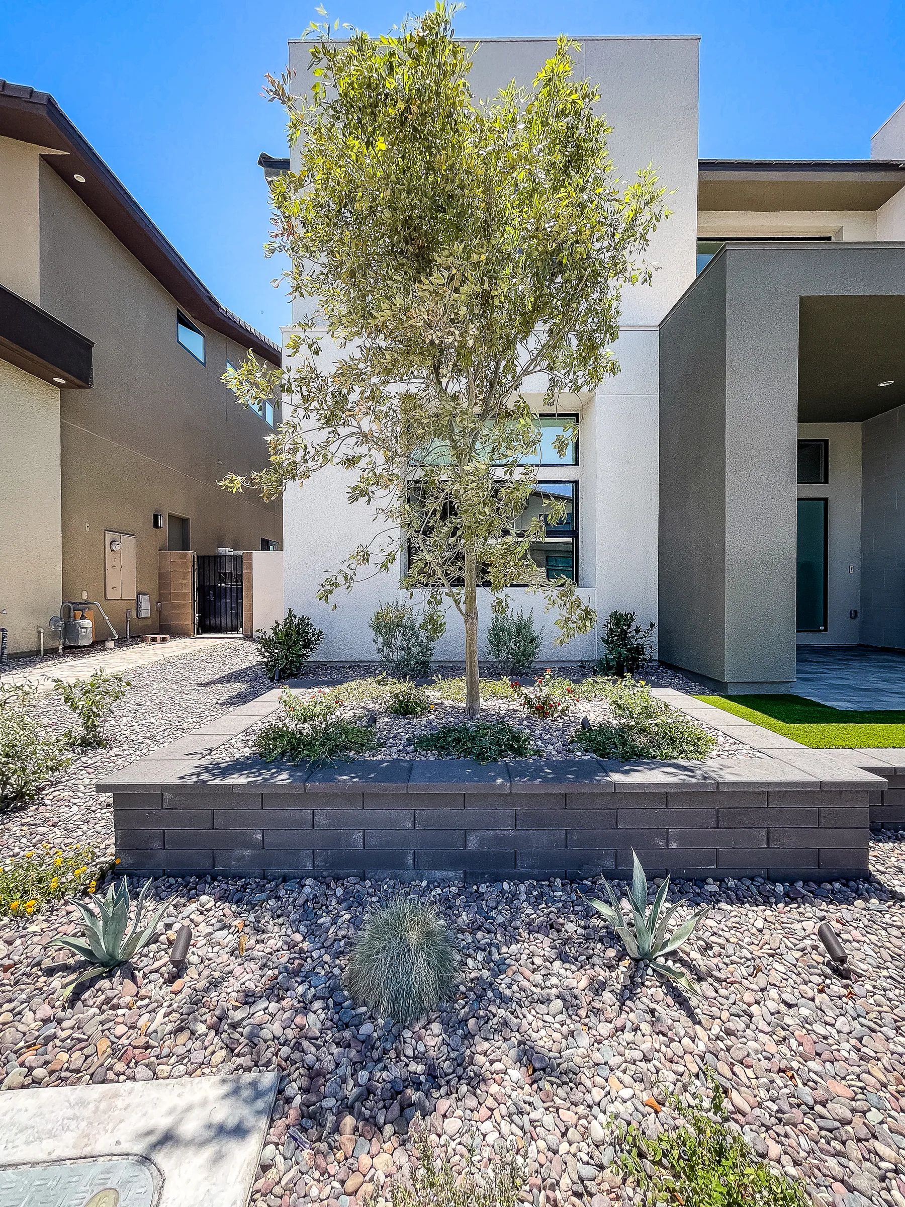 Raised block planter with a young tree, agave, and desert rock beds out front