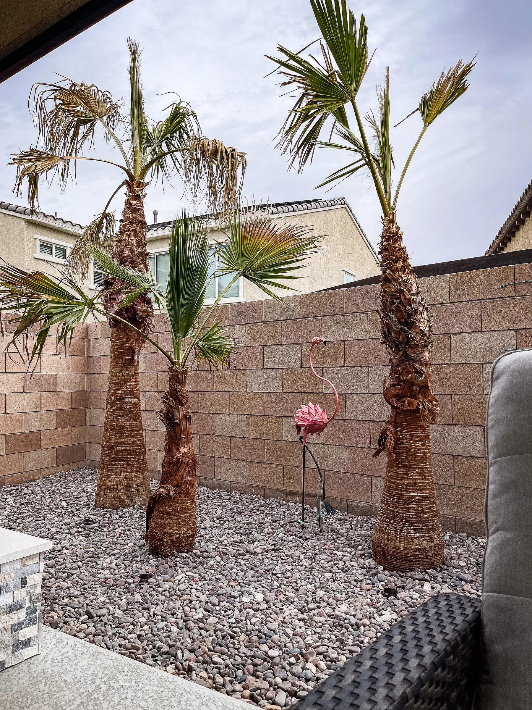 Kurtz finished pool and outdoor living project, view 7
